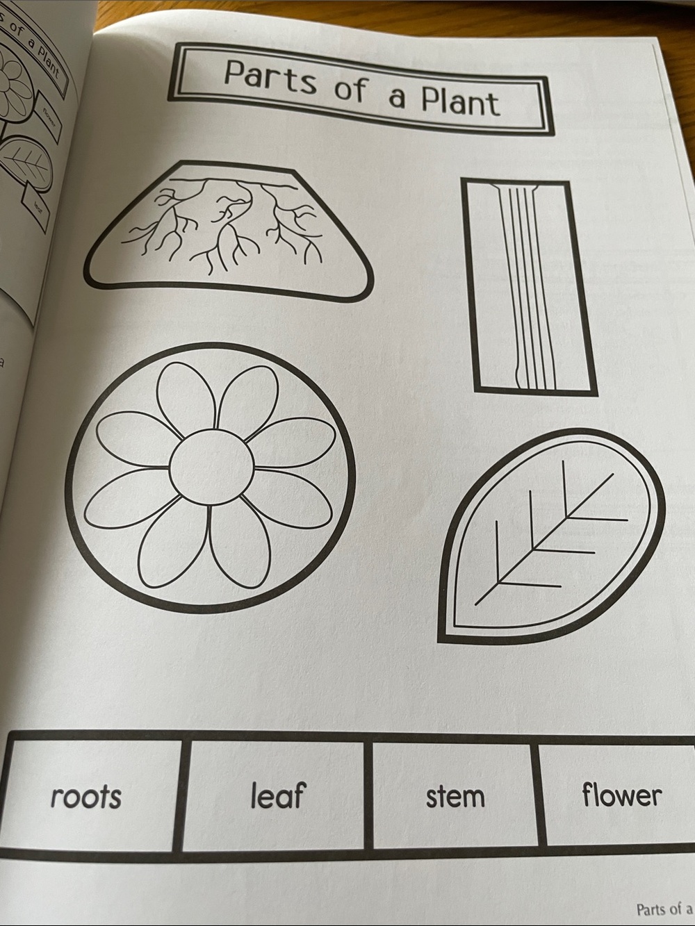 Interactive Notebooks Science Grade 1 NEW - Picture 6 of 13